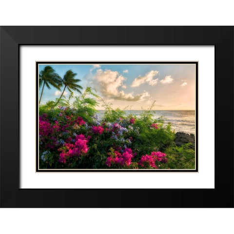 Hot Pink Black Modern Wood Framed Art Print with Double Matting by Frates, Dennis