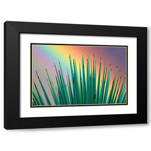 Prism Plant Black Modern Wood Framed Art Print with Double Matting by Frates, Dennis