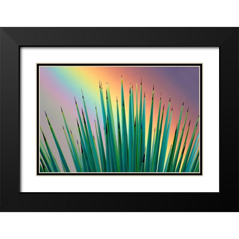 Prism Plant Black Modern Wood Framed Art Print with Double Matting by Frates, Dennis