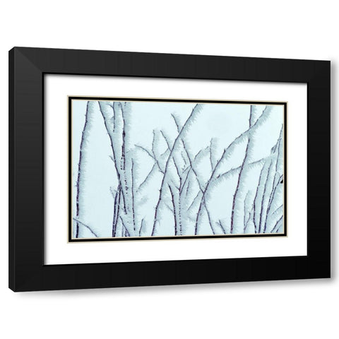 Icy Black Modern Wood Framed Art Print with Double Matting by Frates, Dennis