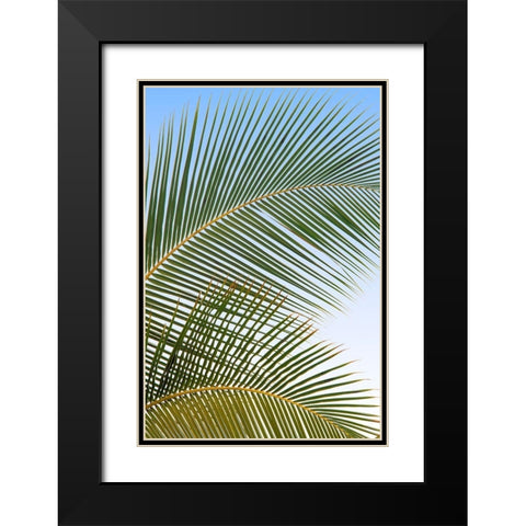 Tropical II Black Modern Wood Framed Art Print with Double Matting by Frates, Dennis