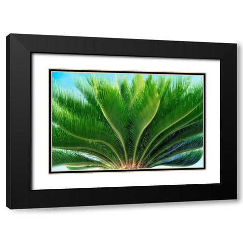 Tropical III Black Modern Wood Framed Art Print with Double Matting by Frates, Dennis