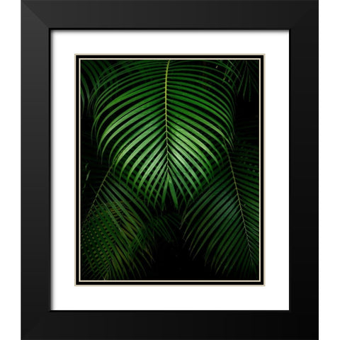 Tropical IV Black Modern Wood Framed Art Print with Double Matting by Frates, Dennis