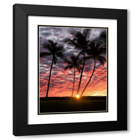 Sunset Silhouette Black Modern Wood Framed Art Print with Double Matting by Frates, Dennis