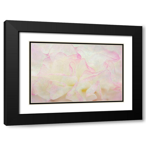 Blush Black Modern Wood Framed Art Print with Double Matting by Frates, Dennis