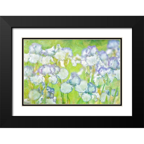 Lime Floral Black Modern Wood Framed Art Print with Double Matting by Frates, Dennis