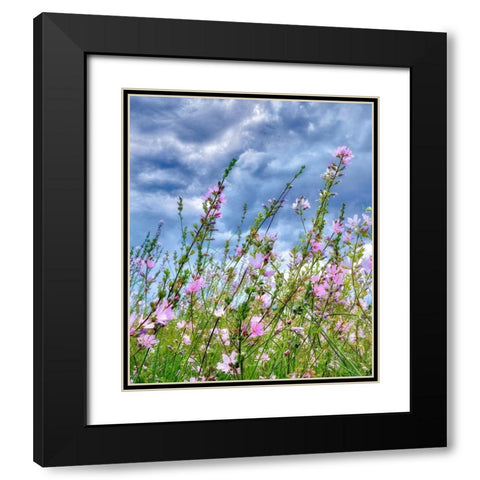 Wild Flowers Black Modern Wood Framed Art Print with Double Matting by Frates, Dennis