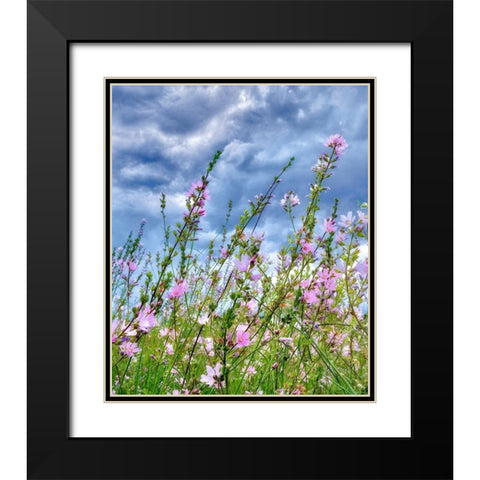 Wild Flowers Black Modern Wood Framed Art Print with Double Matting by Frates, Dennis