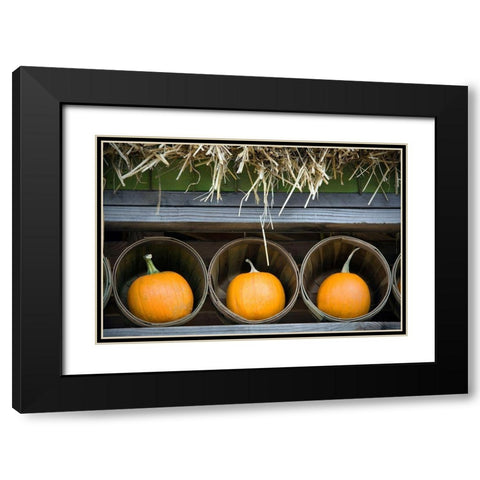 Pumpkins Black Modern Wood Framed Art Print with Double Matting by Frates, Dennis