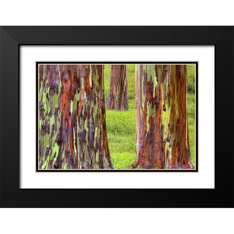 Trunk Club Black Modern Wood Framed Art Print with Double Matting by Frates, Dennis