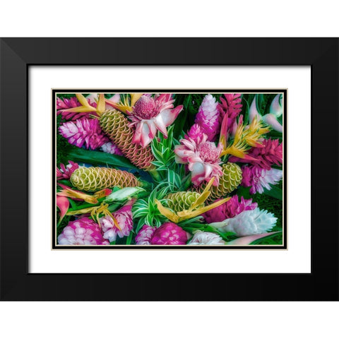 Tropical Floral Black Modern Wood Framed Art Print with Double Matting by Frates, Dennis