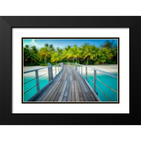 Path to Calm Black Modern Wood Framed Art Print with Double Matting by Frates, Dennis