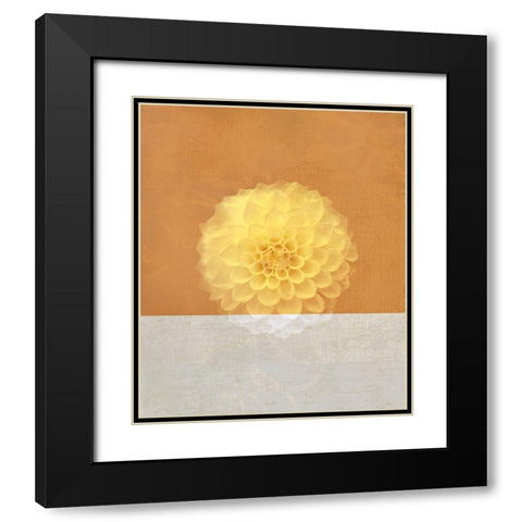 Orange Flower Black Modern Wood Framed Art Print with Double Matting by JMB Designs