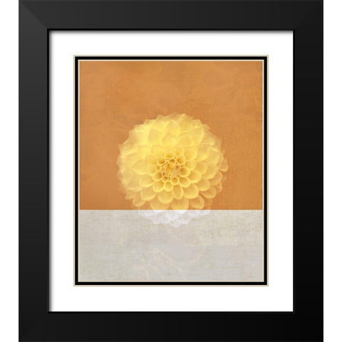 Orange Flower Black Modern Wood Framed Art Print with Double Matting by JMB Designs