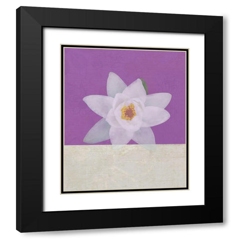 Water Lily Black Modern Wood Framed Art Print with Double Matting by JMB Designs