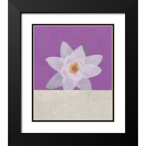 Water Lily Black Modern Wood Framed Art Print with Double Matting by JMB Designs
