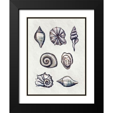 Shells I Black Modern Wood Framed Art Print with Double Matting by Tyndall, Elizabeth