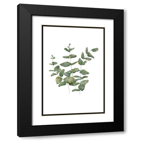 Eucalyptus Leaves II Black Modern Wood Framed Art Print with Double Matting by JJ Design