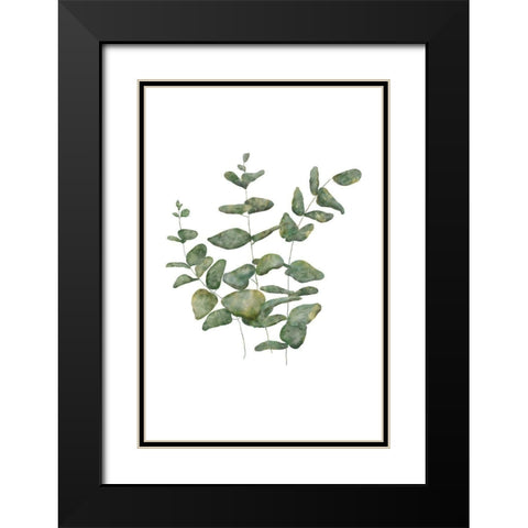 Eucalyptus Leaves II Black Modern Wood Framed Art Print with Double Matting by JJ Design
