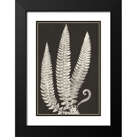 Vintage Ferns Black Modern Wood Framed Art Print with Double Matting by JJ Design