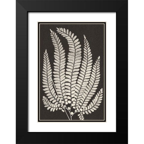 Vintage Ferns II Black Modern Wood Framed Art Print with Double Matting by JJ Design