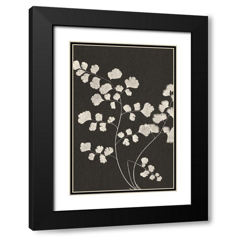 Vintage Ferns III Black Modern Wood Framed Art Print with Double Matting by JJ Design