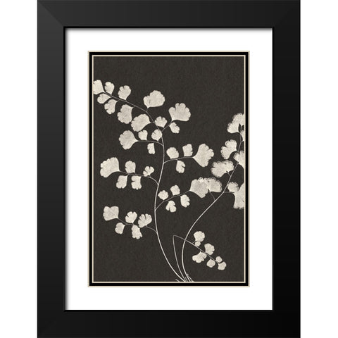 Vintage Ferns III Black Modern Wood Framed Art Print with Double Matting by JJ Design