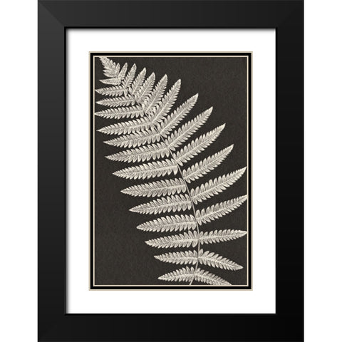 Vintage Ferns VI Black Modern Wood Framed Art Print with Double Matting by JJ Design