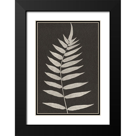 Vintage Ferns VIII Black Modern Wood Framed Art Print with Double Matting by JJ Design