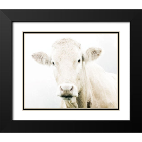 Cow II Black Modern Wood Framed Art Print with Double Matting by Pugh, Jennifer