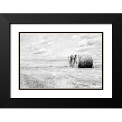 Hay Bales Black Modern Wood Framed Art Print with Double Matting by Pugh, Jennifer