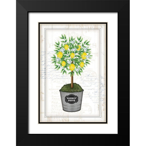 Lemon Topiary Black Modern Wood Framed Art Print with Double Matting by Pugh, Jennifer