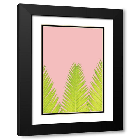 Pink Palm IV Black Modern Wood Framed Art Print with Double Matting by Pugh, Jennifer