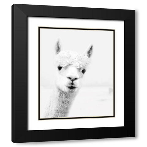 Llama Black Modern Wood Framed Art Print with Double Matting by Pugh, Jennifer