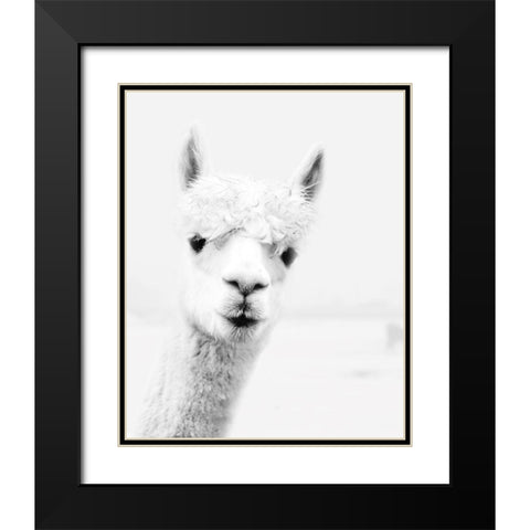 Llama Black Modern Wood Framed Art Print with Double Matting by Pugh, Jennifer