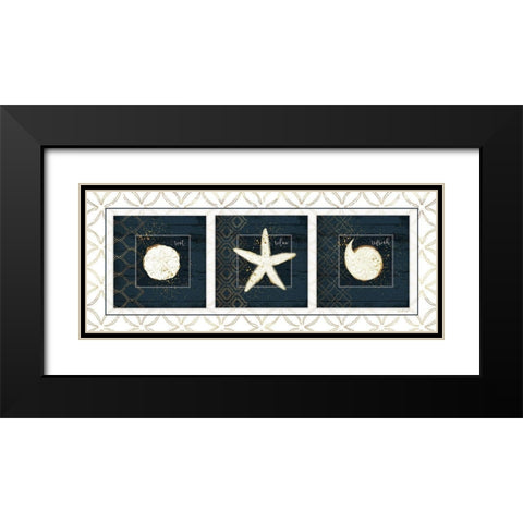 Coastal Panel III Black Modern Wood Framed Art Print with Double Matting by Pugh, Jennifer