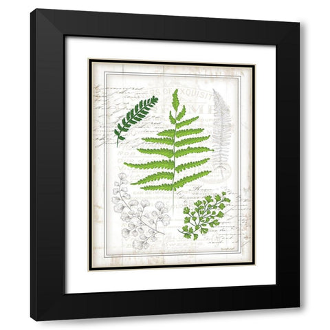 Ferns I Black Modern Wood Framed Art Print with Double Matting by Pugh, Jennifer