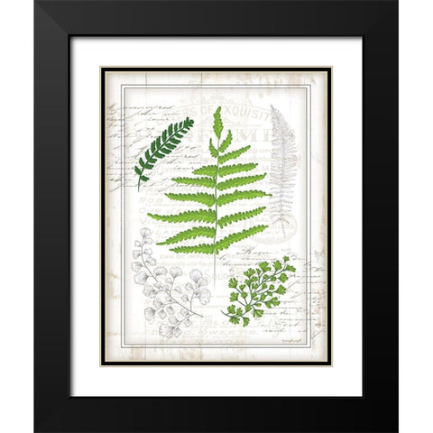 Ferns I Black Modern Wood Framed Art Print with Double Matting by Pugh, Jennifer