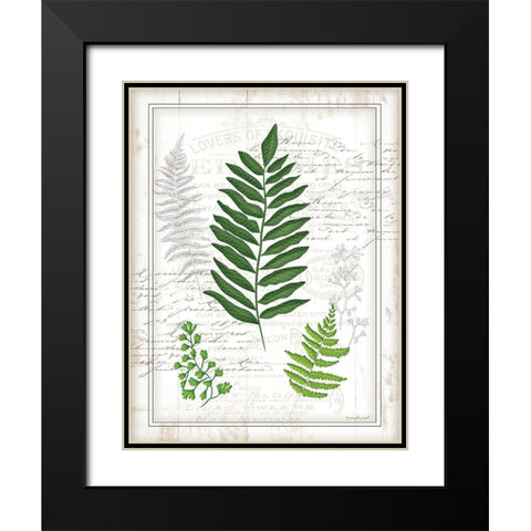 Ferns II Black Modern Wood Framed Art Print with Double Matting by Pugh, Jennifer