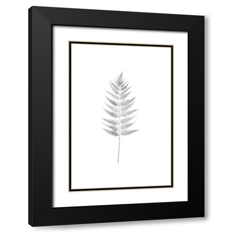 Palm I Black Modern Wood Framed Art Print with Double Matting by Pugh, Jennifer