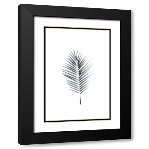 Palm II Black Modern Wood Framed Art Print with Double Matting by Pugh, Jennifer