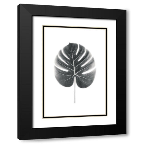 Palm III Black Modern Wood Framed Art Print with Double Matting by Pugh, Jennifer