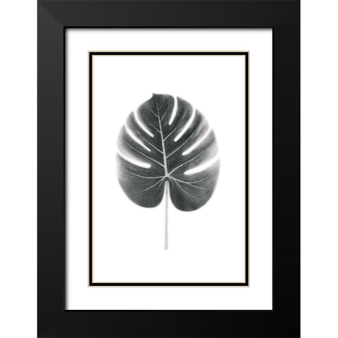 Palm III Black Modern Wood Framed Art Print with Double Matting by Pugh, Jennifer