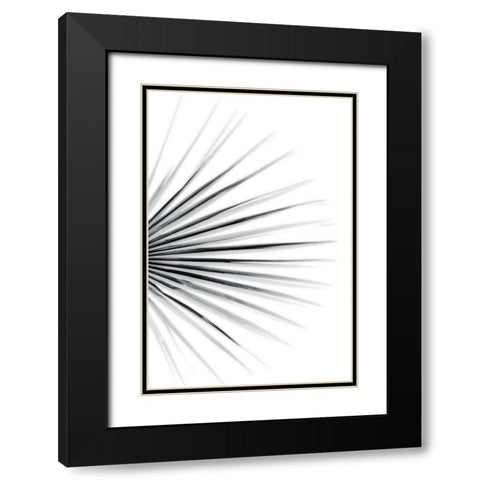 Palm IV Black Modern Wood Framed Art Print with Double Matting by Pugh, Jennifer