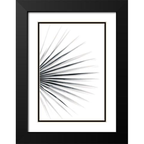 Palm IV Black Modern Wood Framed Art Print with Double Matting by Pugh, Jennifer