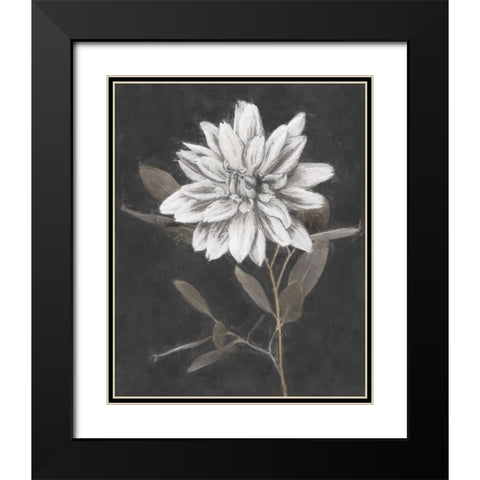 Fable Lotus  Black Modern Wood Framed Art Print with Double Matting by Blue, Nina