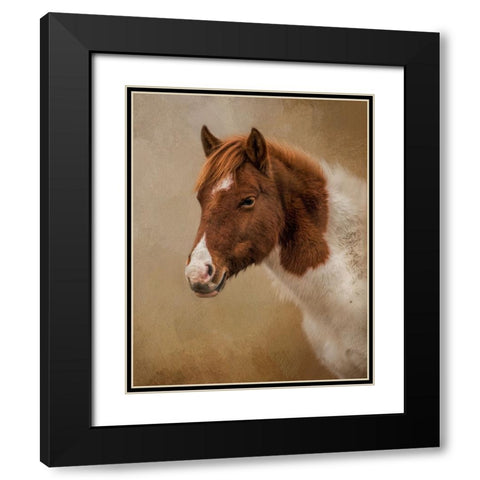 Wild at Heart Black Modern Wood Framed Art Print with Double Matting by Parker, Kelley