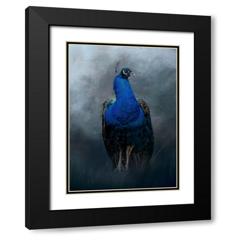 Peacock Prince Black Modern Wood Framed Art Print with Double Matting by Parker, Kelley