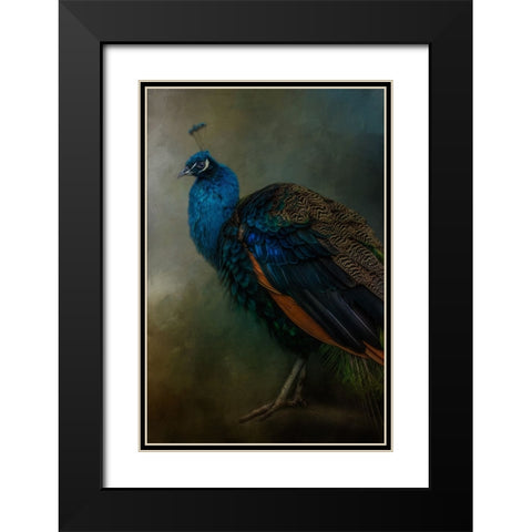 Proud Peacock  Black Modern Wood Framed Art Print with Double Matting by Parker, Kelley