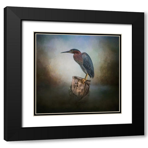 The Perfect Perch Black Modern Wood Framed Art Print with Double Matting by Parker, Kelley